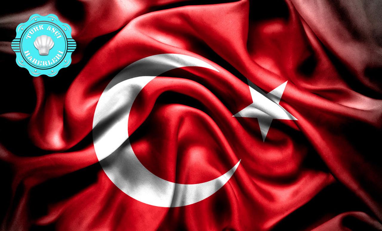 Tarihte Türk Kimdir ? 
